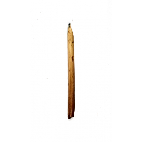Kamış hat kalemi, 13 cm.