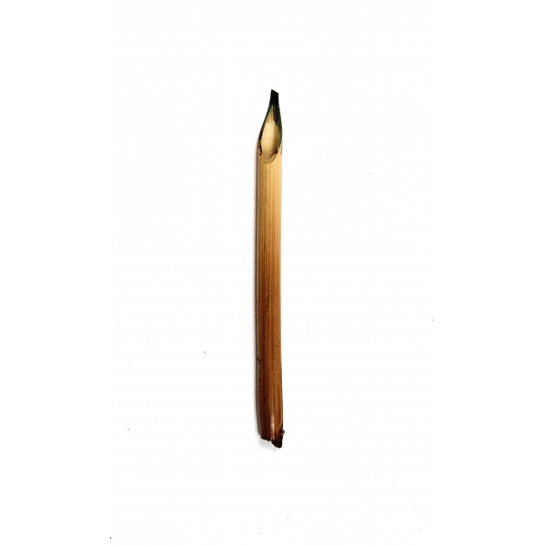 Kamış hat kalemi, 13 cm.