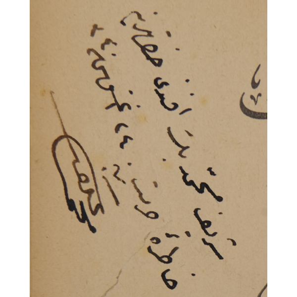 SAFAHAT (6. Kitap: Asım), Mehmet Akif Ersoy, 1342, Amedi Matbaası, 132 sayfa, 13x19 cm...