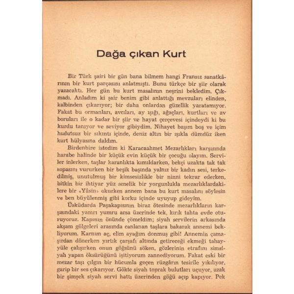 Dağa Çıkan Kurt, Halide Edip [Adıvar], Remzi Kitabevi, İstanbul, 1945, 174 sayfa, 13x19 cm