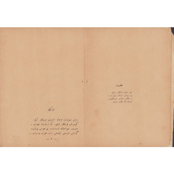 Osmanlıca Ahmed Haşim'in 
