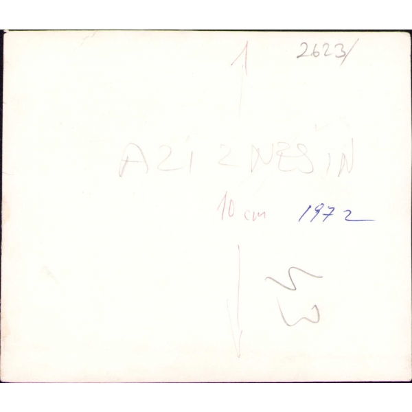 AZİZ NESİN'İN PORTRE FOTOĞRAFI, 13,5 X 11,5 cm…
