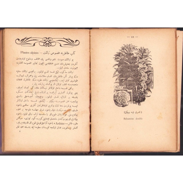 2 kitap tek ciltte: Osmanlıca MİR´ÂTÜ´L-HADÂİK YÂHÛD ÇİÇEK YETİŞDİRMEK, Amasyalı Mehmed Rifat, İstanbul 1318, 131 s.; SALON ÇİÇEKÇİLİĞİ, Lutfi Arif, Cumhuriyet Matbaası, İstanbul 1931, 131 s., 13x19 cm, sırtı ayrık haliyle