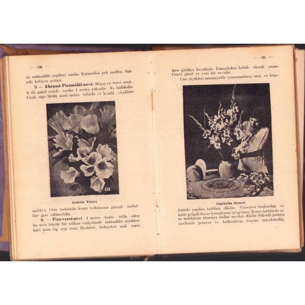 2 kitap tek ciltte: Osmanlıca MİR´ÂTÜ´L-HADÂİK YÂHÛD ÇİÇEK YETİŞDİRMEK, Amasyalı Mehmed Rifat, İstanbul 1318, 131 s.; SALON ÇİÇEKÇİLİĞİ, Lutfi Arif, Cumhuriyet Matbaası, İstanbul 1931, 131 s., 13x19 cm, sırtı ayrık haliyle